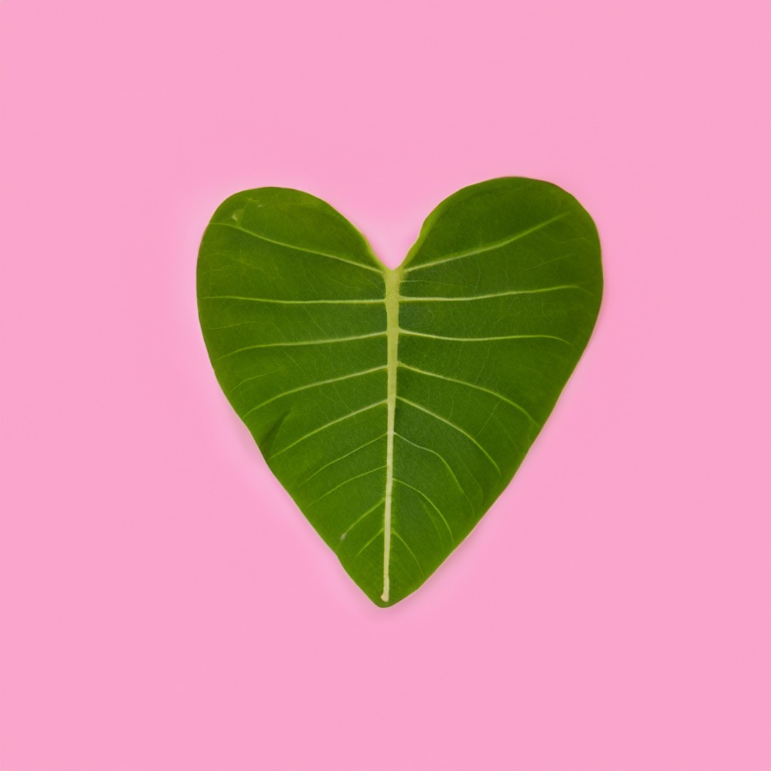 San Valentino sostenibile: amare con cuore e consapevolezza